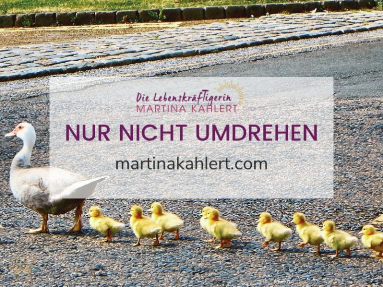 Nur nicht umdrehen