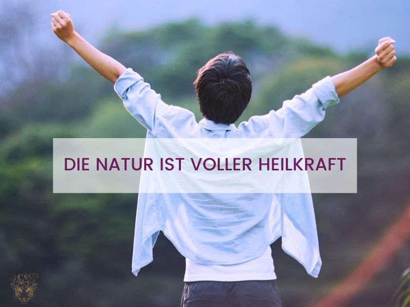 Kraft tanken in der Natur